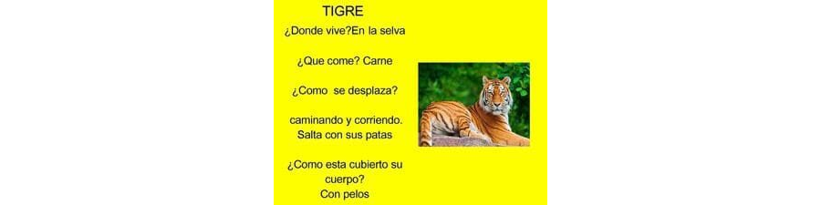 Fichas de tigres para estudiar 3