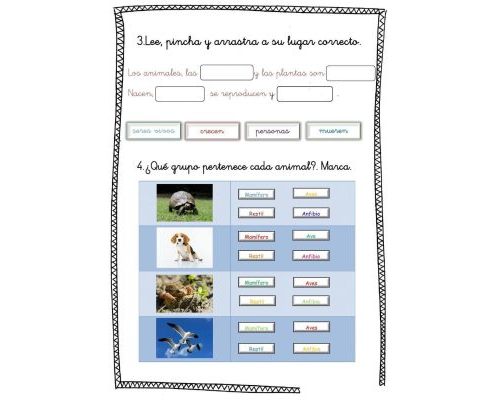 Fichas de naturales 4 primaria