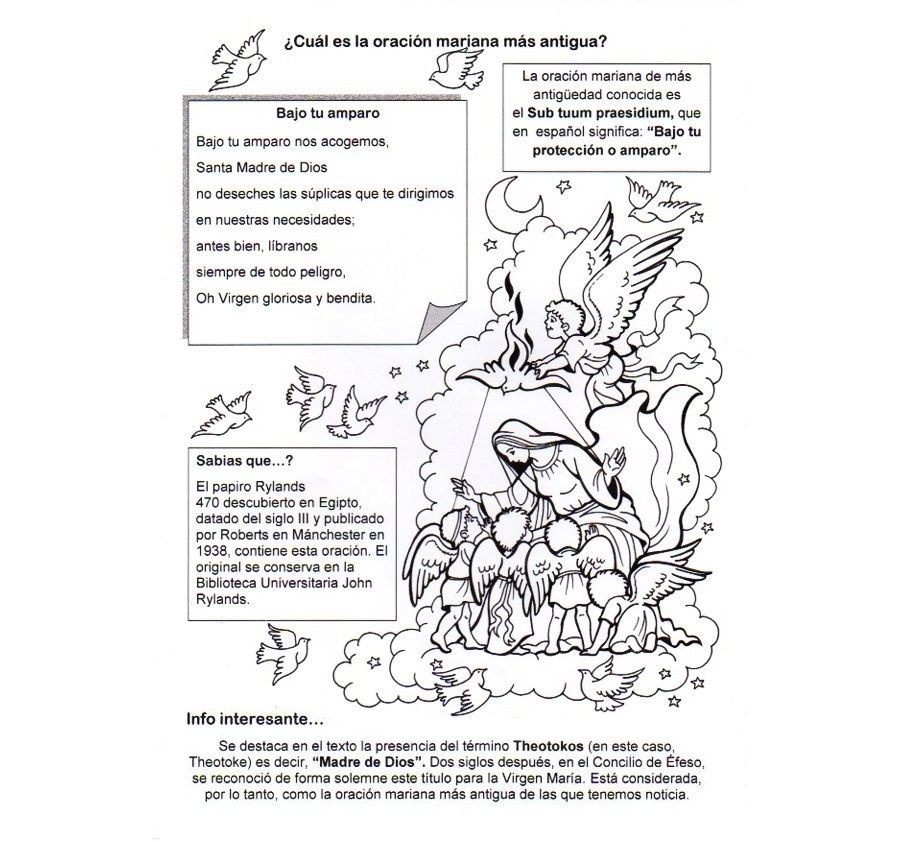 Oraciones básicas y su significado 1