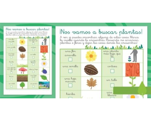 Dónde puedo encontrar fichas de plantas ornamentales 2