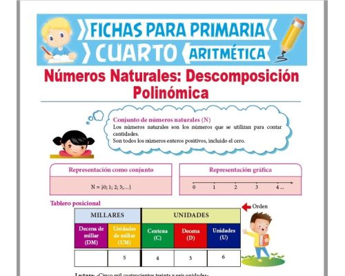 Concepto de descomposición de números 2