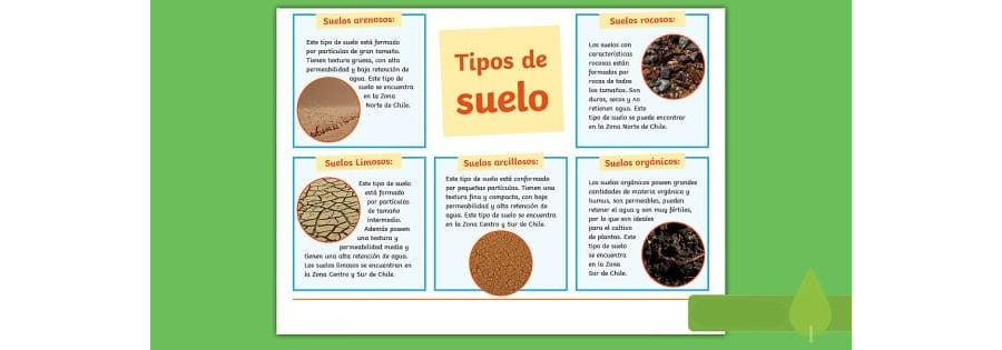 Altura, forma y tipo de suelo recomendado 1