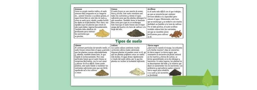 Altura, forma y tipo de suelo recomendado 3