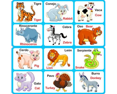 Aprendiendo vocabulario y animales con fichas de colores en preescolar 1