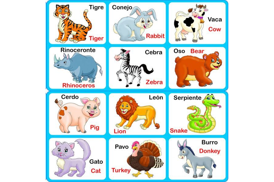 Aprendiendo vocabulario y animales con fichas de colores en preescolar 1