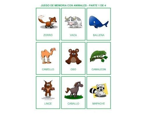 Aprendiendo vocabulario y animales con fichas de colores en preescolar 3