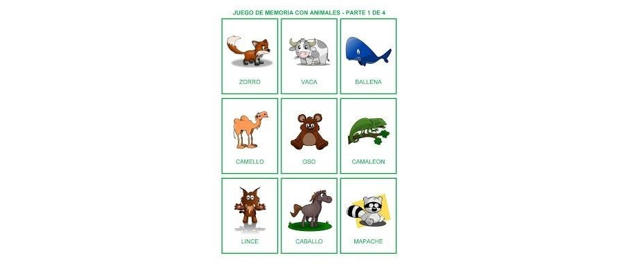 Aprendiendo vocabulario y animales con fichas de colores en preescolar 3