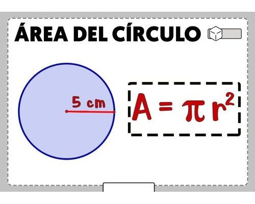 Área y perímetro de círculos 3