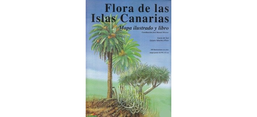 Cómo identificar y clasificar plantas no identificadas 1