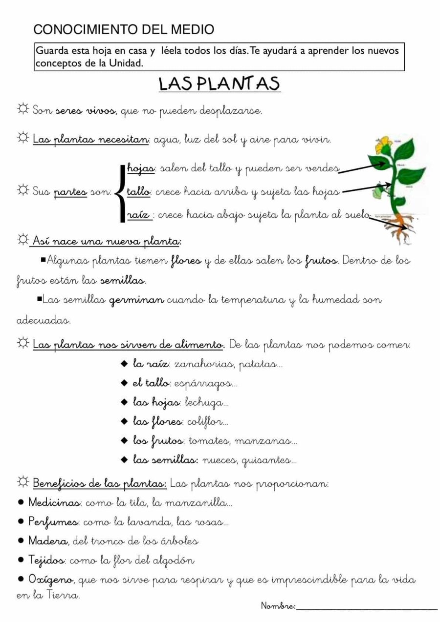 La importancia del medio ambiente y la naturaleza en las fichas de ciencias naturales 1