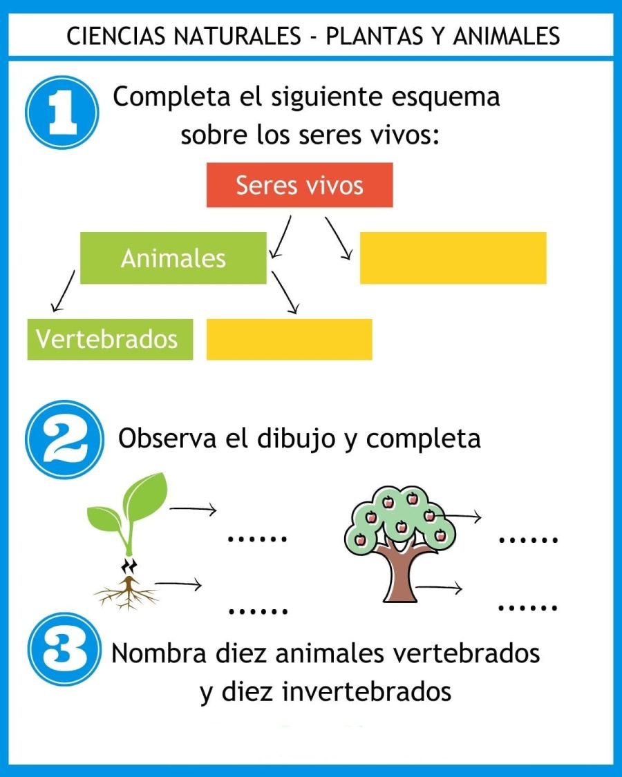 La importancia del medio ambiente y la naturaleza en las fichas de ciencias naturales 3