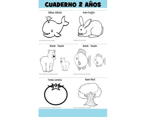 Cuaderno de actividades en PDF para niños de 2 y 3 años 2