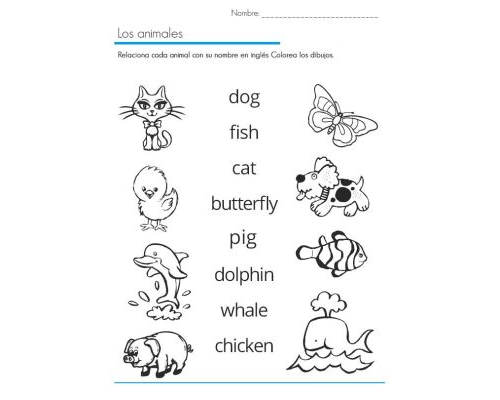 Ejercicios de vocabulario y actividades divertidas en inglés 3