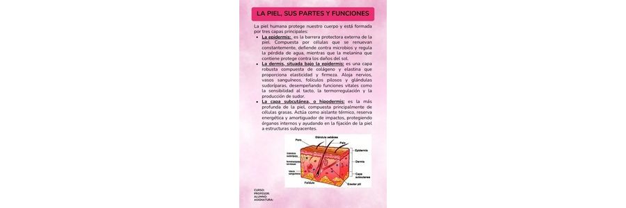 Fichas de color rosa para estudiar 2