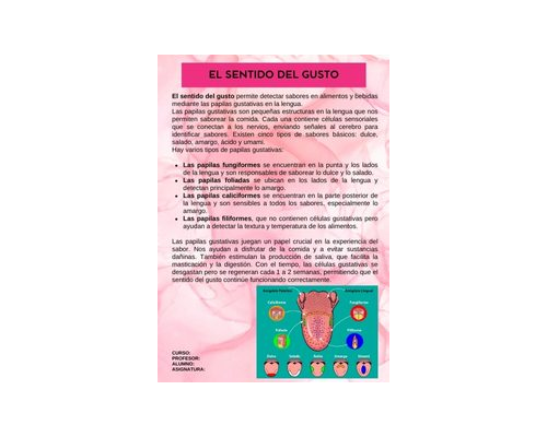 Fichas de color rosa para estudiar 3