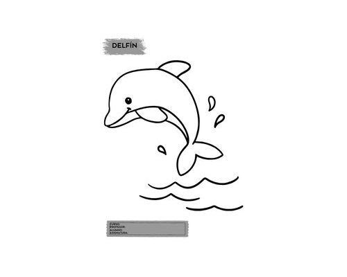 Fichas de delfines para colorear 2