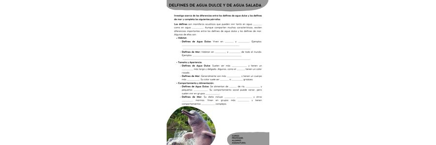 Fichas de delfines para escribir 2