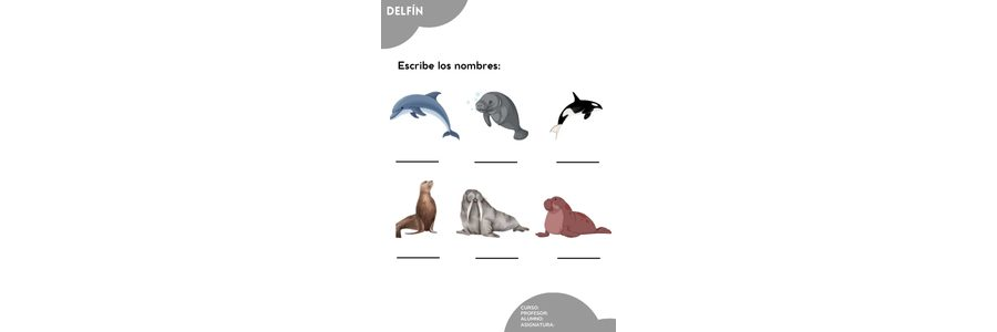 Fichas de delfines para escribir 3