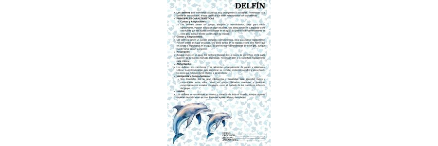 Fichas de delfines para estudiar 1