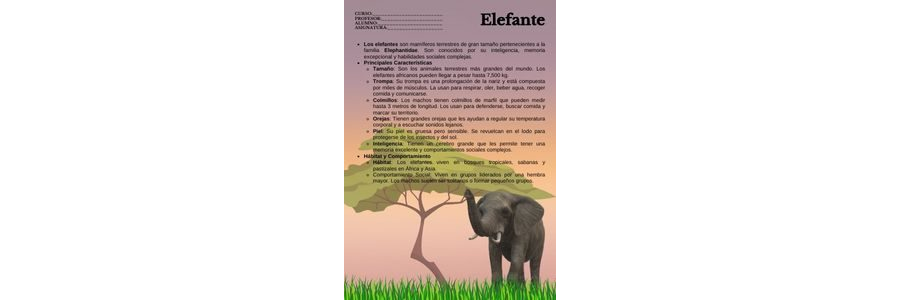 Fichas de elefantes para estudiar 1