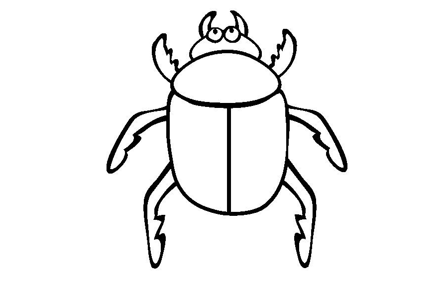 Fichas de escarabajos para colorear 1