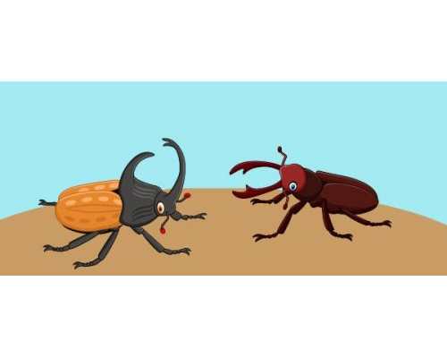 Fichas de escarabajos para imprimir 3