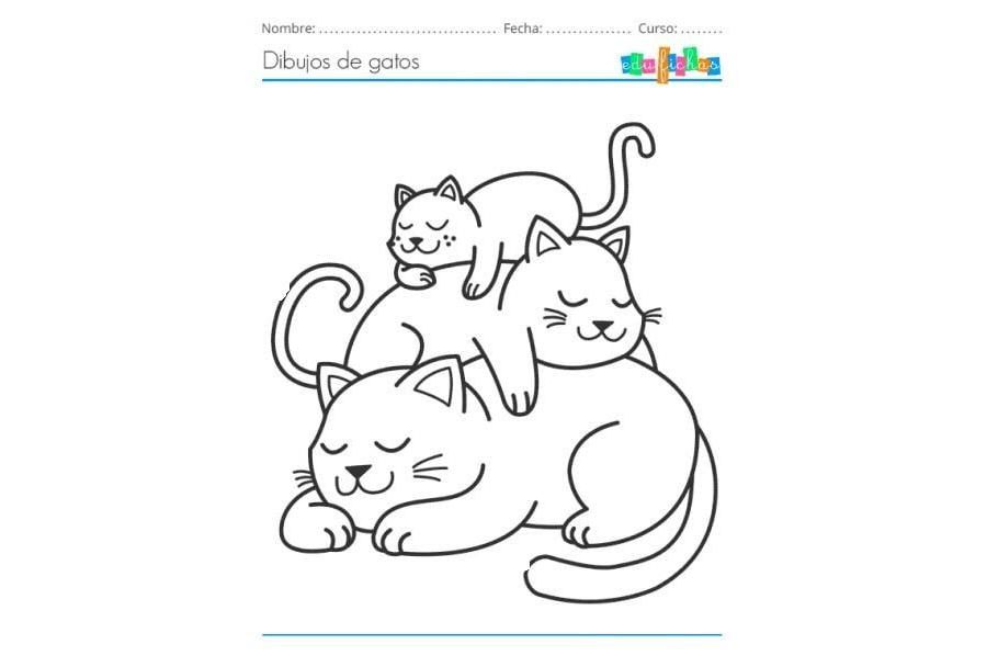 Fichas de gatos para imprimir 2