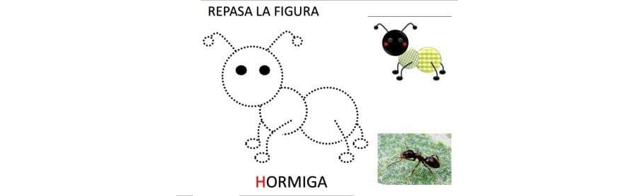 Fichas de hormigas para imprimir 1