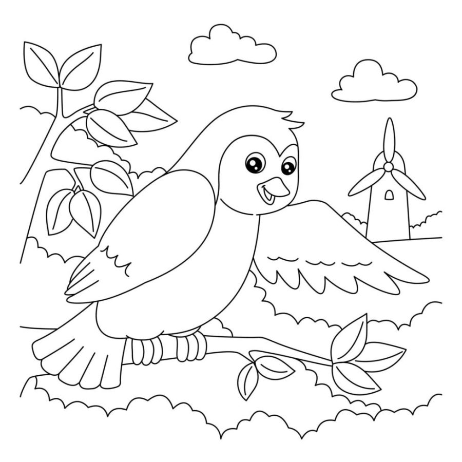 Fichas de pájaros para colorear 1