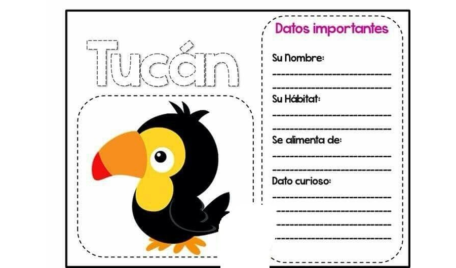 Fichas de pájaros para escribir 1