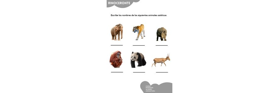 Fichas de rinocerontes para escribir 3