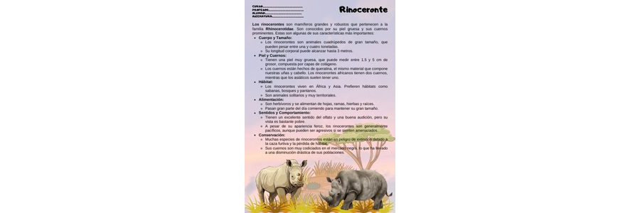 Fichas de rinocerontes para estudiar 1