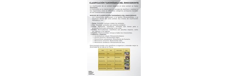 Fichas de rinocerontes para estudiar 2