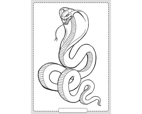 Fichas de serpientes para colorear 3
