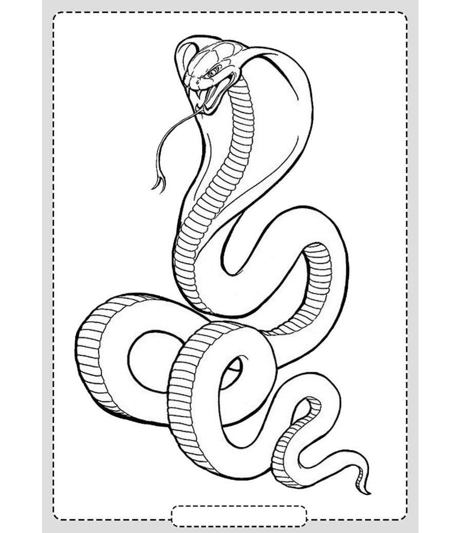 Fichas de serpientes para colorear 3