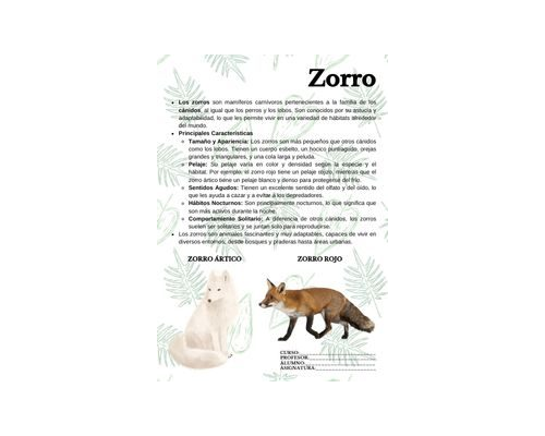 Fichas de zorros para estudiar 1