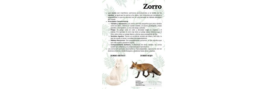 Fichas de zorros para estudiar 1