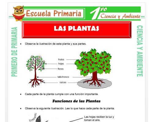 Plataformas educativas como herramienta para el aprendizaje de las partes de la planta 2