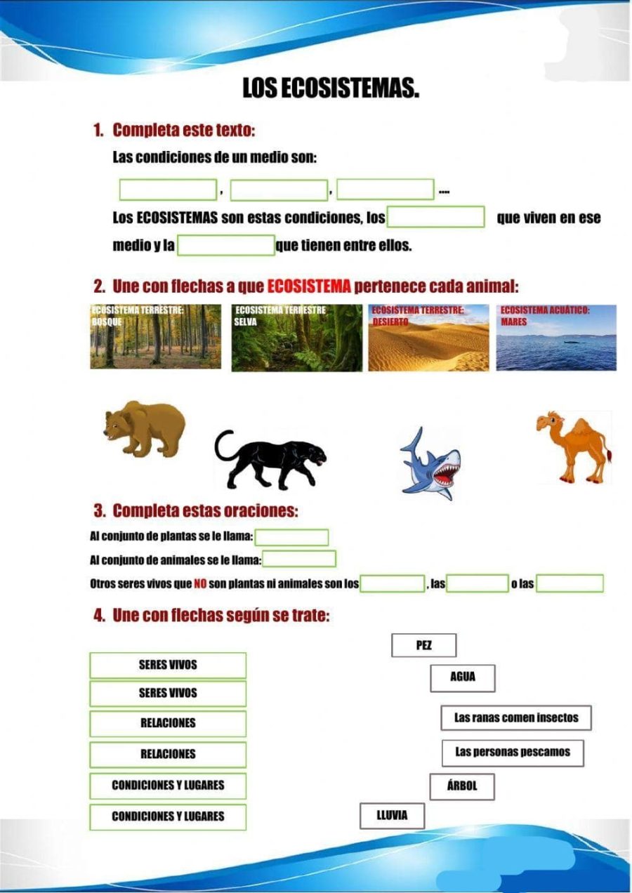 Juegos y actividades interactivas para aprender sobre la naturaleza 1