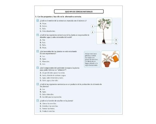 Utilización de worksheets y workbooks para aprender sobre las plantas 2