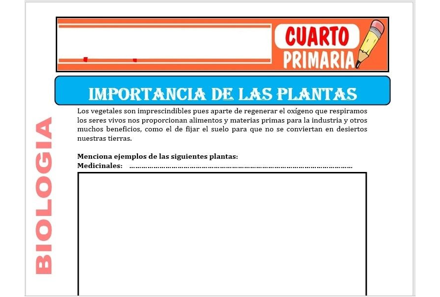 Ventajas de utilizar fichas para el cuidado de plantas 2