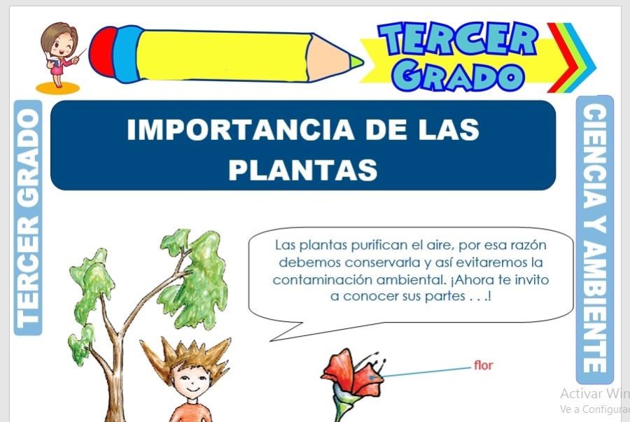 Ventajas de utilizar fichas para el cuidado de plantas 3