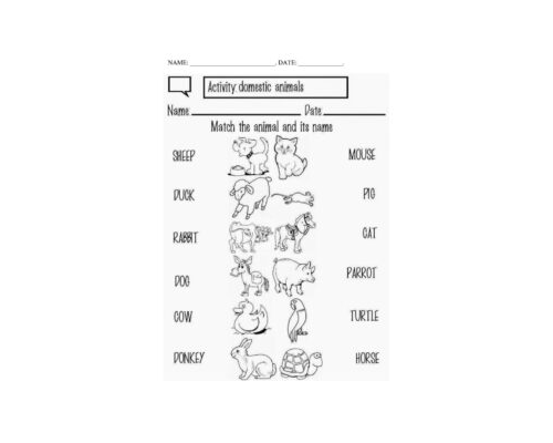 Fichas de repaso y refuerzo de temas específicos 2
