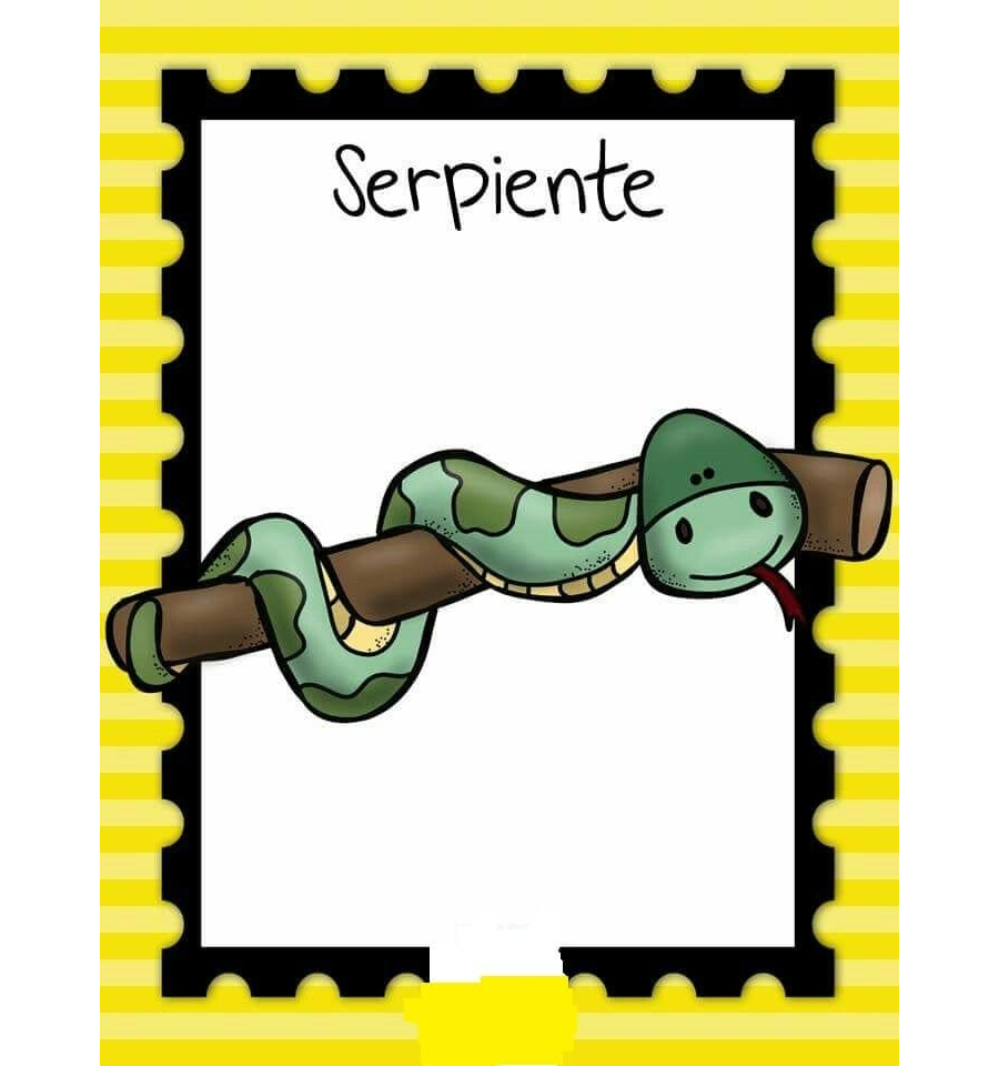 Fichas de serpientes para estudiar 3