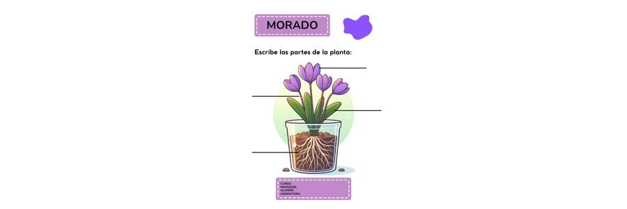 Fichas de color morado para escribir 2