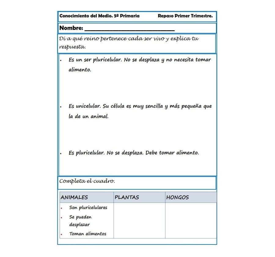 fichas de naturales 5 primaria 2