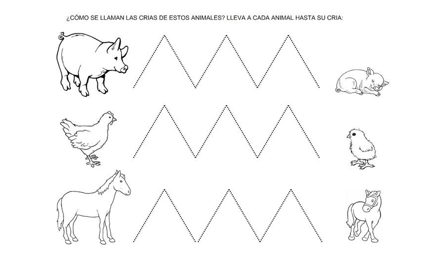 Actividades para colorear y aprender sobre animales 1