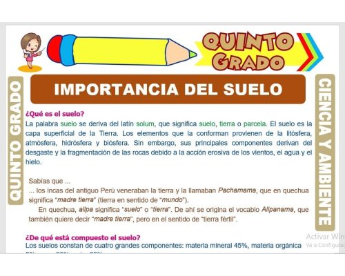 Actividades prácticas y experimentos para fomentar la participación de los alumnos 3