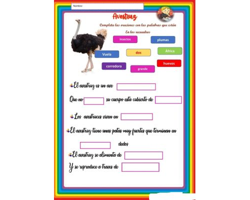 Fichas de avestruces para estudiar 2