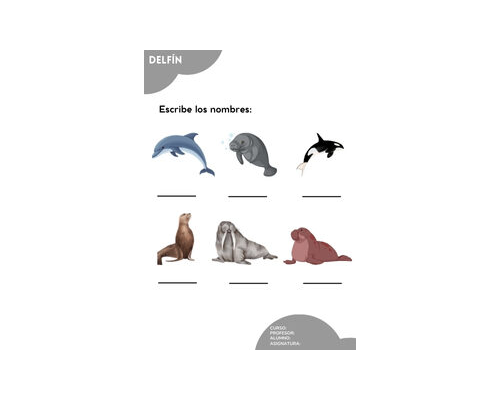Fichas de delfines para escribir 3